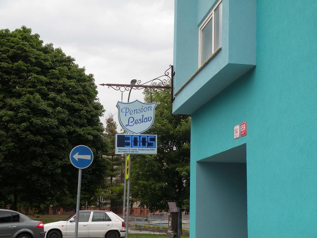 Penzion- Leslav Ceske Budejovice Exteriér fotografie