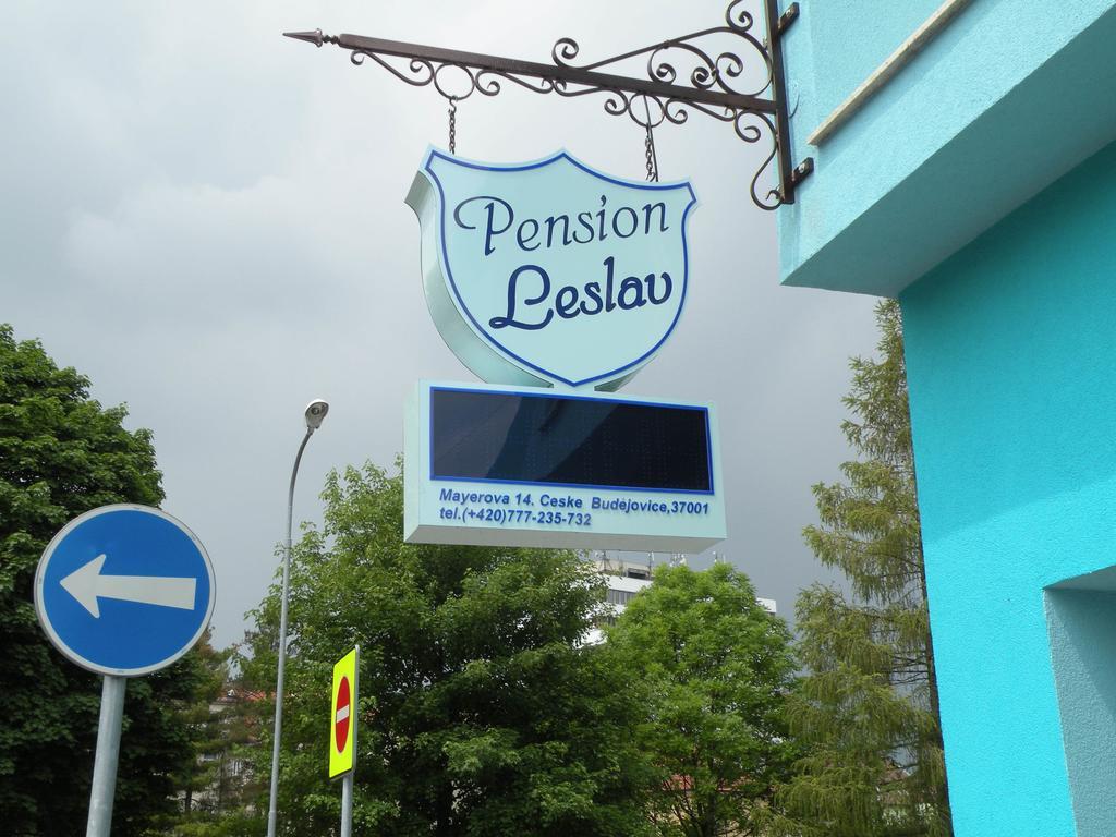 Penzion- Leslav Ceske Budejovice Exteriér fotografie